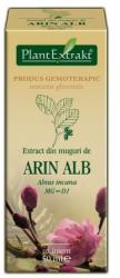 PlantExtrakt Extract din muguri de ARIN ALB, 50 ml, Plant Extrakt