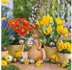 Szalvéta Húsvét - Húsvéti dekoráció (SZ3342-23301600)