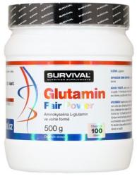 SURVIVAL Glutamin Fair Power italpor 500 g