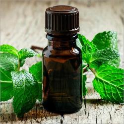  Menta illóolaj - Bio (NKC979565)