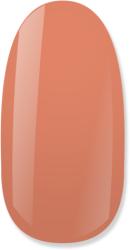 NiiZA Gel Polish 4ml - 047