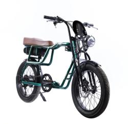 Pegas Partizan E-Bike