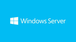 Microsoft Windows Server Standard 2019 ENG P73-07847