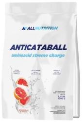 ALLNUTRITION Anticataball Aminoacid Xtreme Charge italpor 1000 g