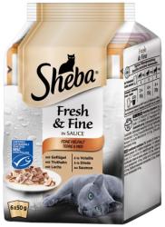 Sheba Fresh & Fine Mini - somon si ton 6 x 50 g