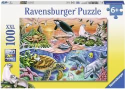 Ravensburger Minunatul Ocean 100 piese (10681) Puzzle