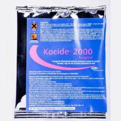 DUPONT Fungicid Kocide 2000 25 gr