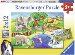 Ravensburger Zoo 2x12 piese (RVSPC07602) Puzzle