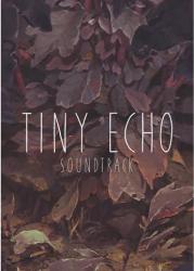 Might and Delight Tiny Echo Soundtrack DLC (PC)