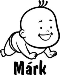  Baby on board Mászó kisfiú névvel 2 db plottervágott autós matrica applikáló fóliával