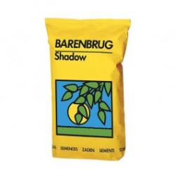 Barenbrug Seminte gazon umbra Barenbrug Shadow, 5 kg