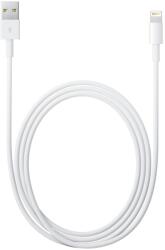 Apple Lightning to USB Cable (1 m)