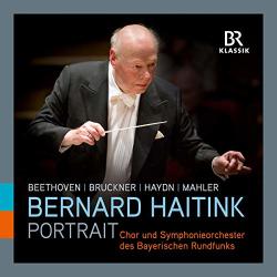 Haitink, Bernard Portrait -box Set-