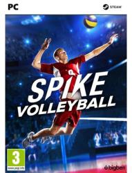 Bigben Interactive Spike Volleyball (PC)