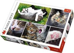 Trefl Viata pisicilor - 1500 piese (26145) Puzzle