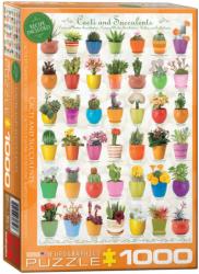 EUROGRAPHICS Cacti Succulents - 1000 piese (6000-0654) Puzzle