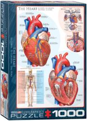 EUROGRAPHICS The Heart - 1000 piese (6000-0257)