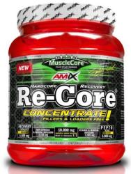 Amix Nutrition Re-Core Concentrate italpor 540 g