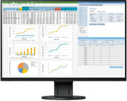 EIZO FlexScan EV2457 Monitor