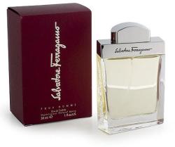 Salvatore Ferragamo Salvatore Ferragamo pour Homme EDT 100 ml
