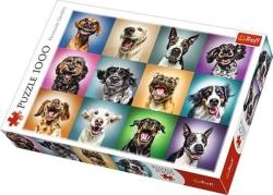 Trefl Funny Dogs - 1000 piese (10462) Puzzle