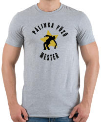 printfashion pálinka főző mester - Férfi póló - Sport szürke (1376531)