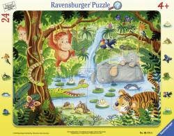 Ravensburger Jungla Tip Rama 24 piese (06171) Puzzle