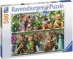 Ravensburger Pisici pe raft - 500 piese (14824) Puzzle