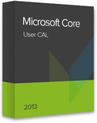 Microsoft Core 2013 User CAL W06-00415