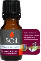 SOiL Ulei Esential de Scortisoara (Cinnamon) Ecologic/Bio 10ml