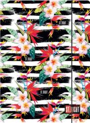 St. Majewski St. Right - Tropical Party A4 gumis mappa (005183)