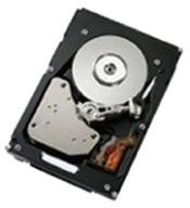 Lenovo IBM 2TB 7200rpm SATA2 42D0782