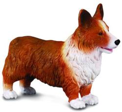 CollectA Corgi - Collecta (COL88082M) - ookee