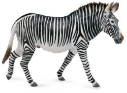 CollectA Figurina Zebra Grevy XL Collecta (COL88773XL) - ookee