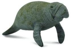 CollectA Lamantinul - Collecta (COL88455L) - ookee Figurina