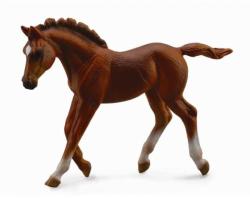 CollectA Figurina Manz Thoroughbred Chestnut M Collecta (COL88670M) - ookee