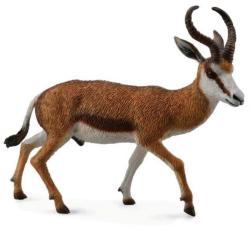 CollectA Figurina Antilopa Springbok L Collecta (COL88684L) - ookee