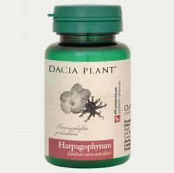 DACIA PLANT Harpagophytum 60 comprimate