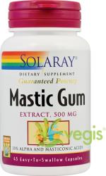 SOLARAY Mastic Gum 45 comprimate