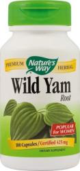 Nature's Way Wild Yam 100 comprimate