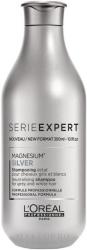 L'Oréal Magnesium Silver 300 ml
