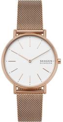 Skagen SKW2784 Ceas