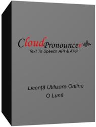De Vis Software srl Text To Speech API (Licenta Anuala)