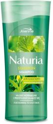 Joanna Șampon cu urzică și ceai verde - Joanna Naturia Shampoo With Nettle And Green Tea 500 ml