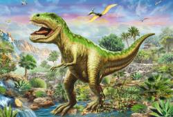 Schmidt Spiele Aventurile dinozaurilor - 3x48 piese (56202) Puzzle