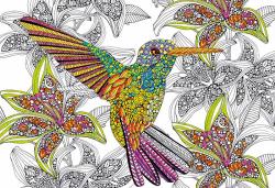 Educa Hummingbird - 300 piese (17083)