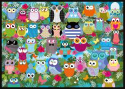 Schmidt Spiele Collage Of Owls II - 1.000 piese (58332)