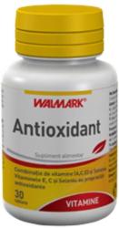 Walmark Antioxidant 30 comprimate