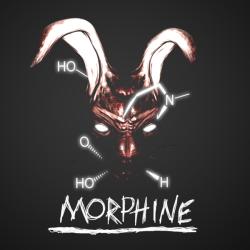 Kerim Kumbasar Morphine (PC) Jocuri PC