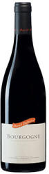 David Duband Bourgogne Rouge 2022 (száraz) 0.75l